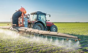 Winter Wheat Harvest Gathering Momentum – Proteinc.